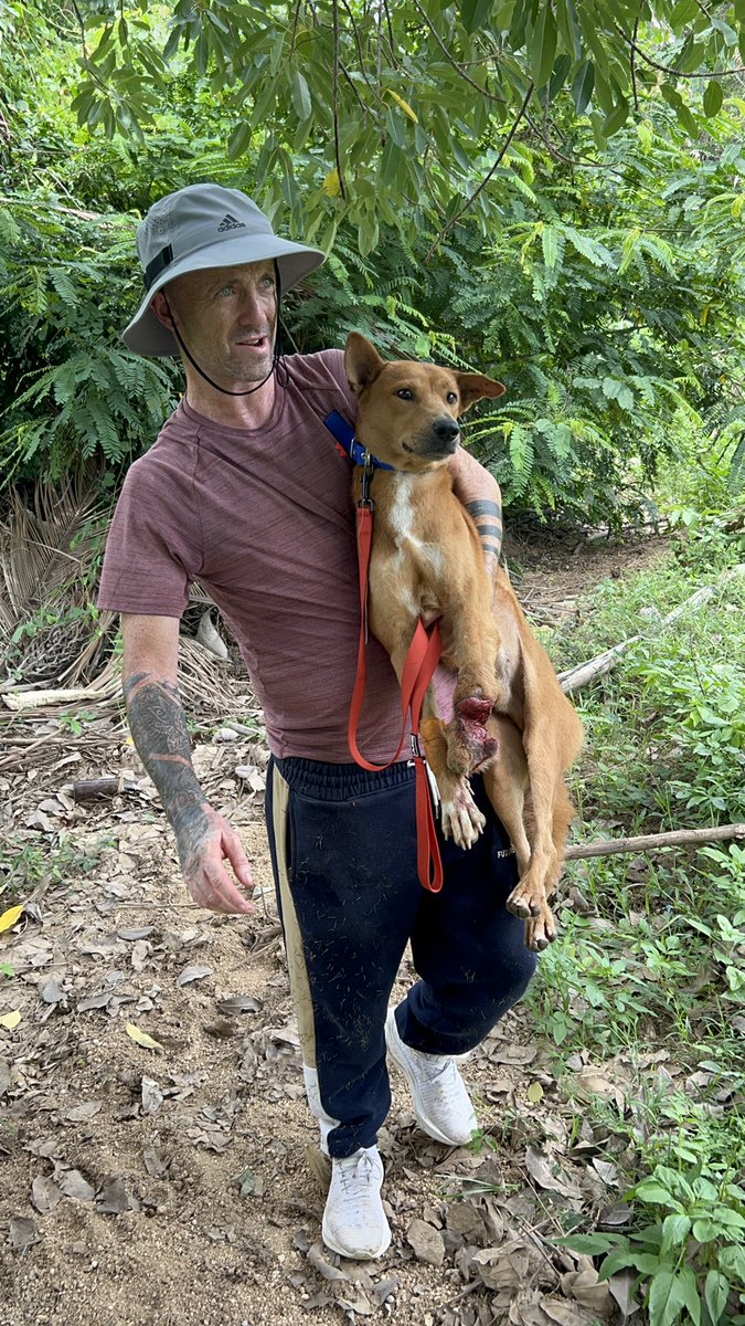 NiallHarbison's tweet photo. There’s a big storm out tonight. I love that Leo is not out in it alone dragging his leg around. 

Instead he’s in his cosy bed, his leg is fixed, his belly is full, he knows love and his future is bright. Life starts here Leo Messi 🥰🙏 (6/6) https://t.co/yTvxosHlUY