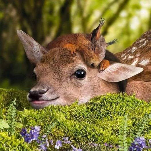 vivaneil (@vivaneil1234) on Twitter photo 