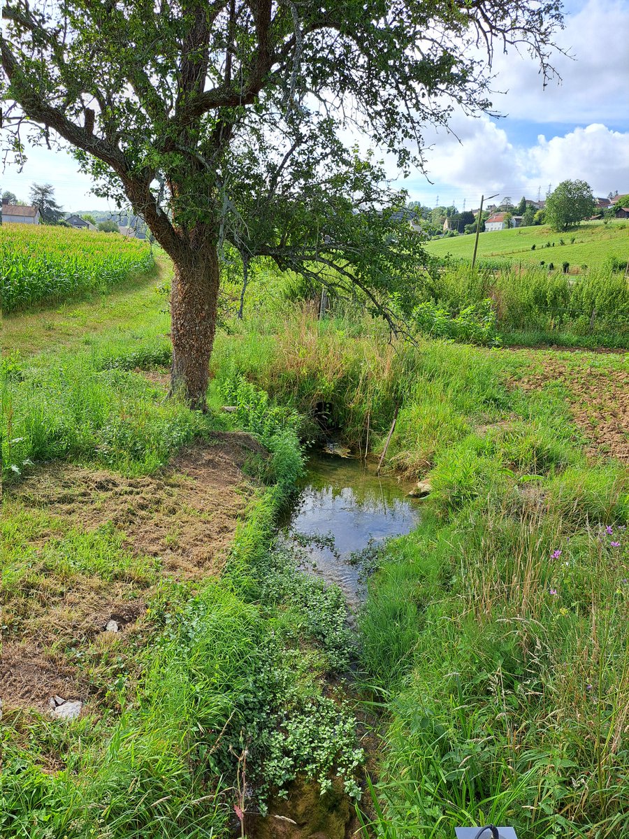 ch_hasenfratz's tweet photo. #BaladeSympa ce matin à #Guerville pour s'aérer l'esprit avant une semaine qui sera encore dure...
#paysage #landscape #TerreDeSeine https://t.co/UWlCO2WTJR