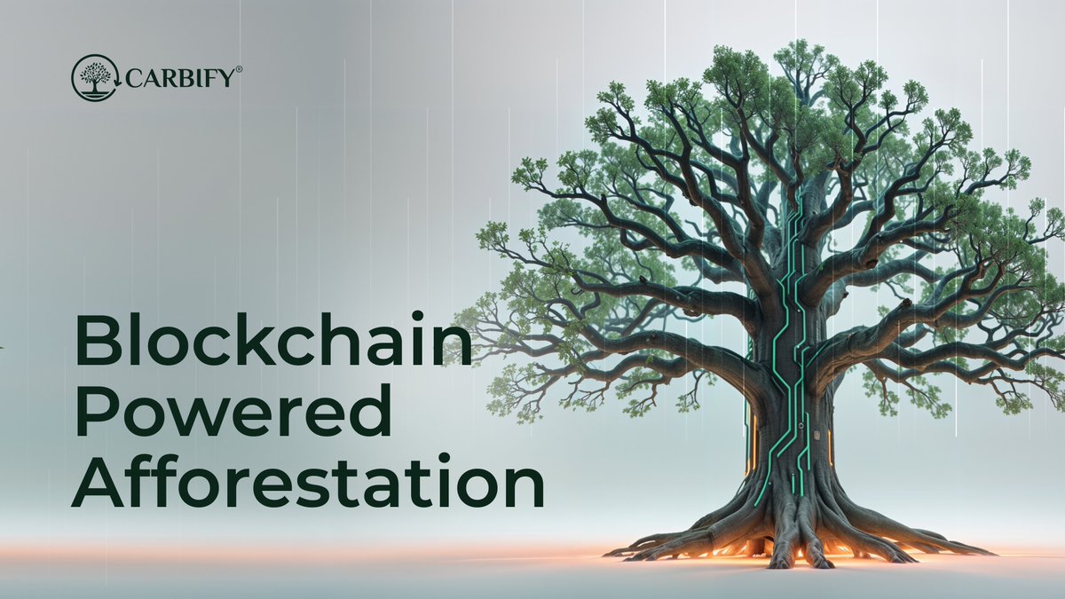 black_boycrypt's tweet photo. 1/ 🌿 Introducing @Carbify_io! 🌿 Carbify is revolutionizing the carbon market by leveraging blockchain technology to create real-world impact. #CarbifyThread #RWA #RealYield $CBY https://t.co/SDtMWNJLzo