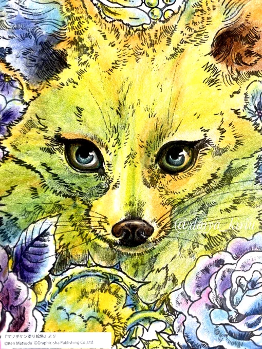実は塗り絵は苦手。なんだか上手く出来ないんですよね。線が決まっているからかな? でも久しぶりにやってみたらすごく楽しかった お絵描き仲間同士で線画を塗りっこするのもありだなーとワクワクしました 瞳がキレイに塗れた! #大人の塗り絵 #グラフィック社 #色鉛筆