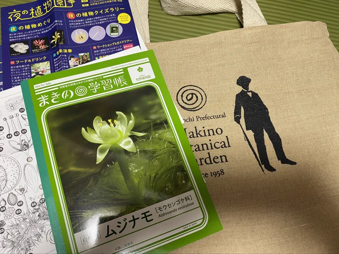今日は夜の植物園(牧野植物園のイベ)へ行ってスイレンが咲くまで粘ってたので大河実況できんかった 夜の植物園、随所に夜開く花と職員が暗闇の中ぼうっと光って待ち構えており非日常という感じで良かった スイレンやムジナモを見たりクイズに答えて賞品を貰うなどして満足して帰ったのだった