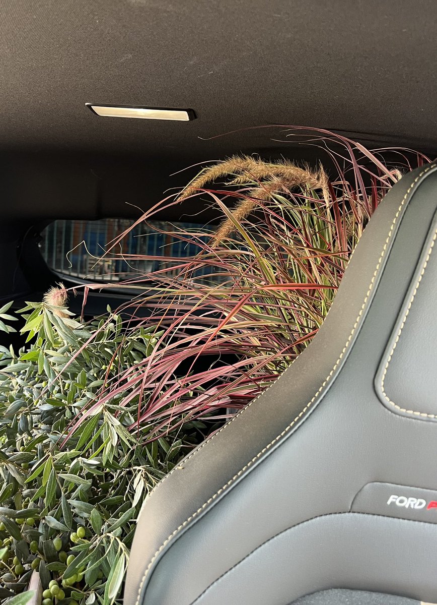 thiblawbr's tweet photo. c’est bon j’ai acheté la jardinerie entière, je peux aller cuisiner mes oignons et mes échalotes (+ des olives bientôt) #hommesoja https://t.co/FCnOClDZT6