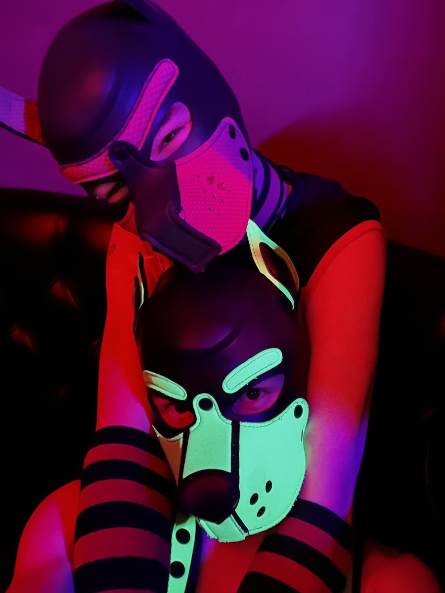 Had a great night last night with some amazing pups <a href="/ZeroTheFurryFem/">🎀 ~ ℤ𝔼ℝ𝕆 ~ 🎀</a> <a href="/Pup_Dexter_666/">Pup Dexter 🐾</a> and all da rest ❤️