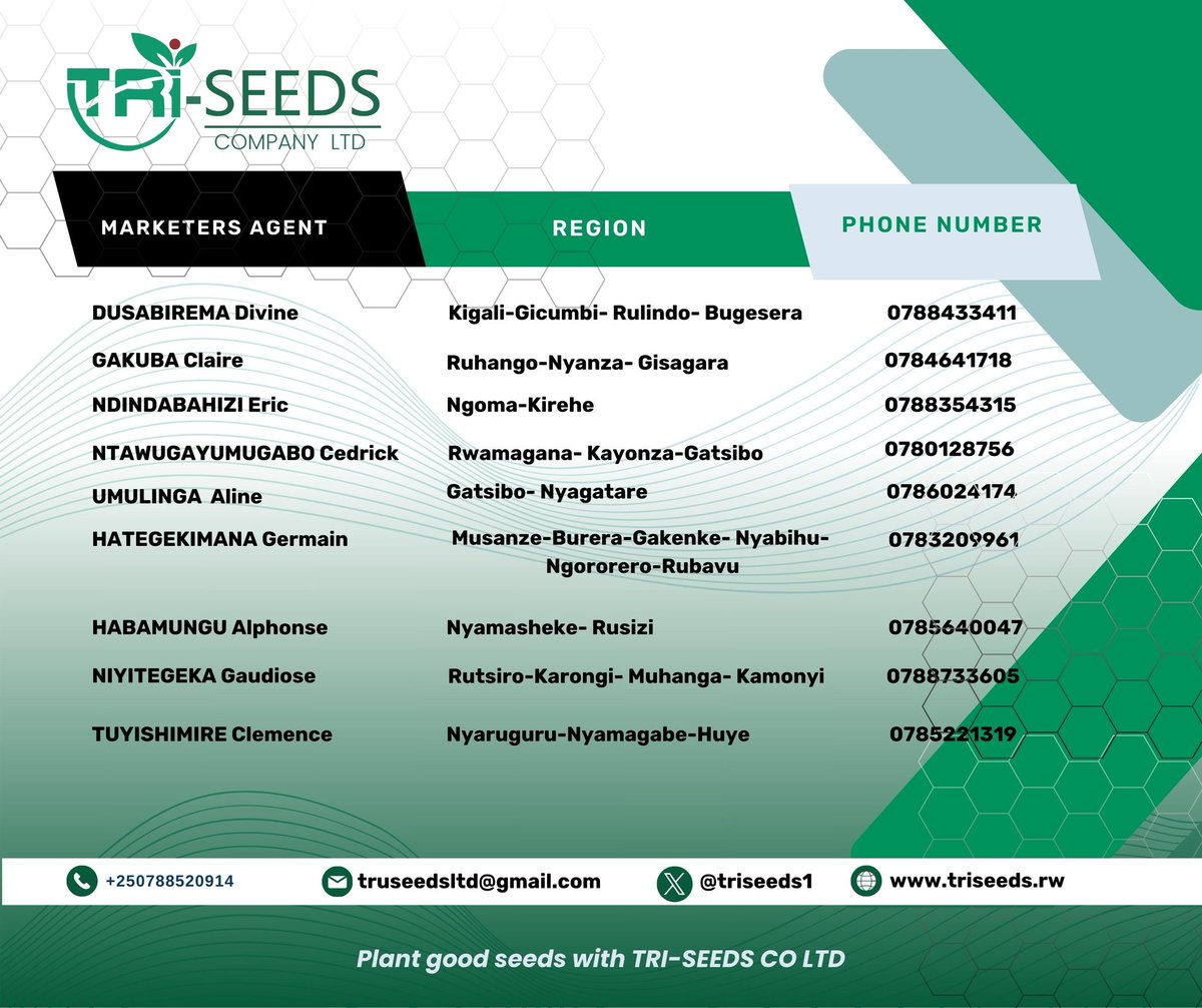 niyo_charles's tweet photo. We are gearing up for the start of season A to prepare a high-quality and high-yield crop before
To obtain high-quality seeds, drought- and disease-resistant varieties, early maturing, and high-yield varieties, stop by the @Triseeds1 stand.

#RwandaAgriShow2024 
#AgInfluencersRw https://t.co/1CDG998c9V