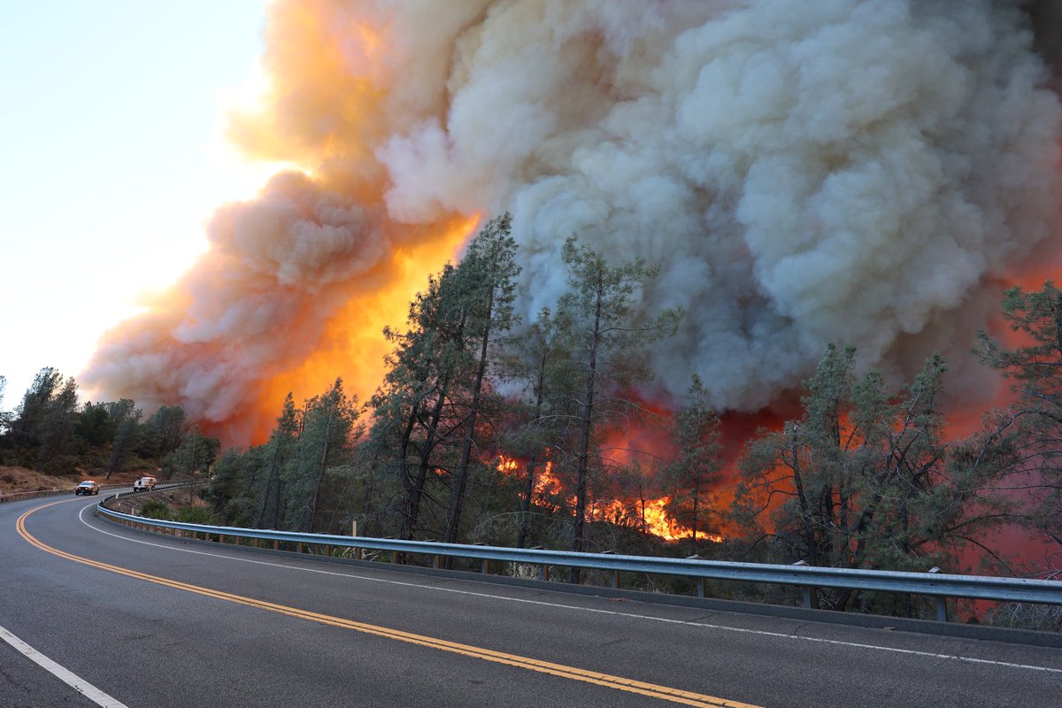 ferrandalmau78's tweet image. 7) #ParkFire tiene opciones de superar en el podio a los 3 más grandes hasta la fecha:

1º #AugustComplex: 417.897ha (2020)
2º #DixieFire: 389.837ha (2021)
3º #MedocinoComplex: 185.801ha (2018)

Nótese que todos en última década, pese a la larga tradición de #IIFF de California