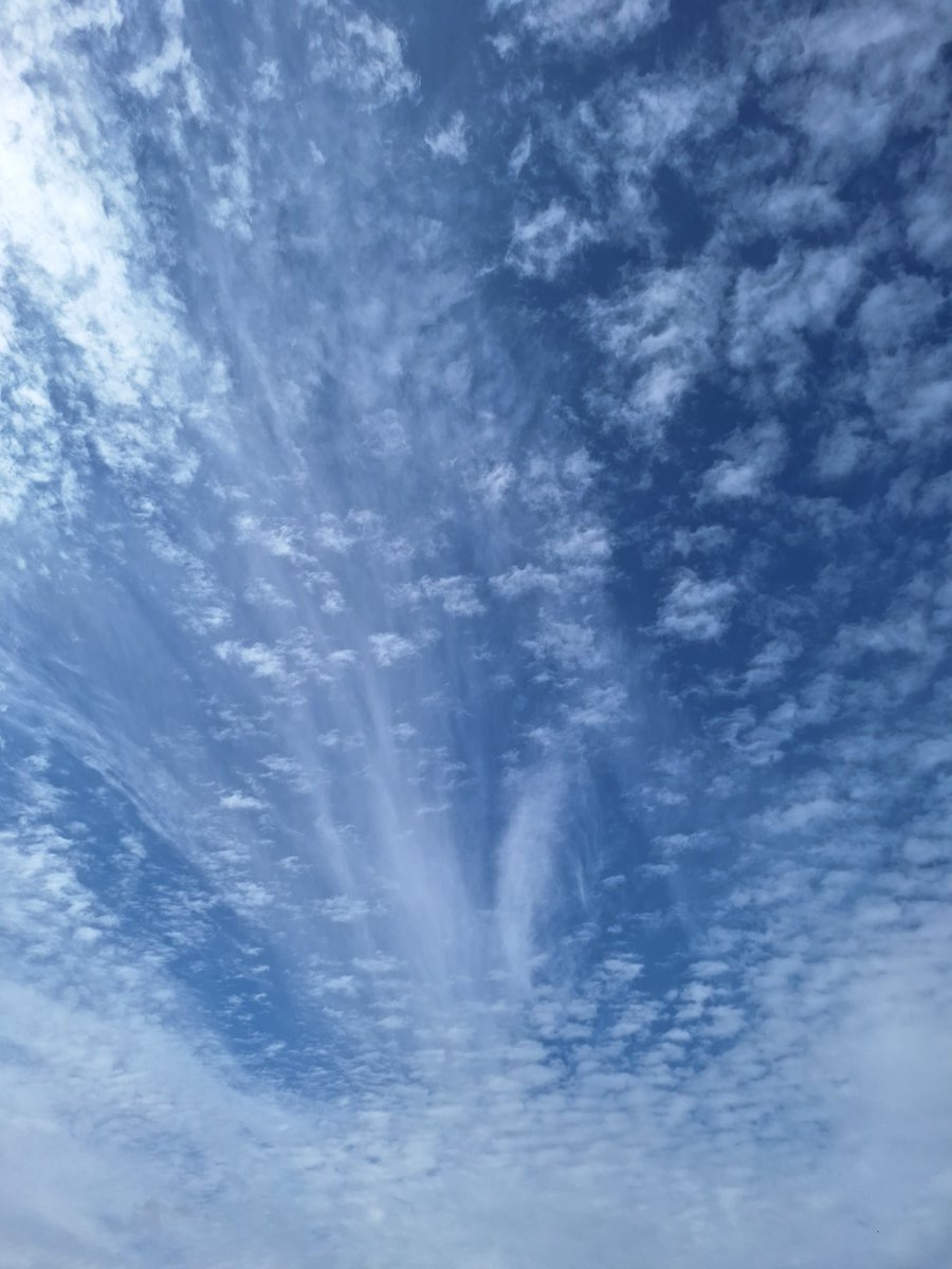 RubberPlant5's tweet photo. @CloudAppSoc 
What clouds are these ? https://t.co/whjcZKnOHN