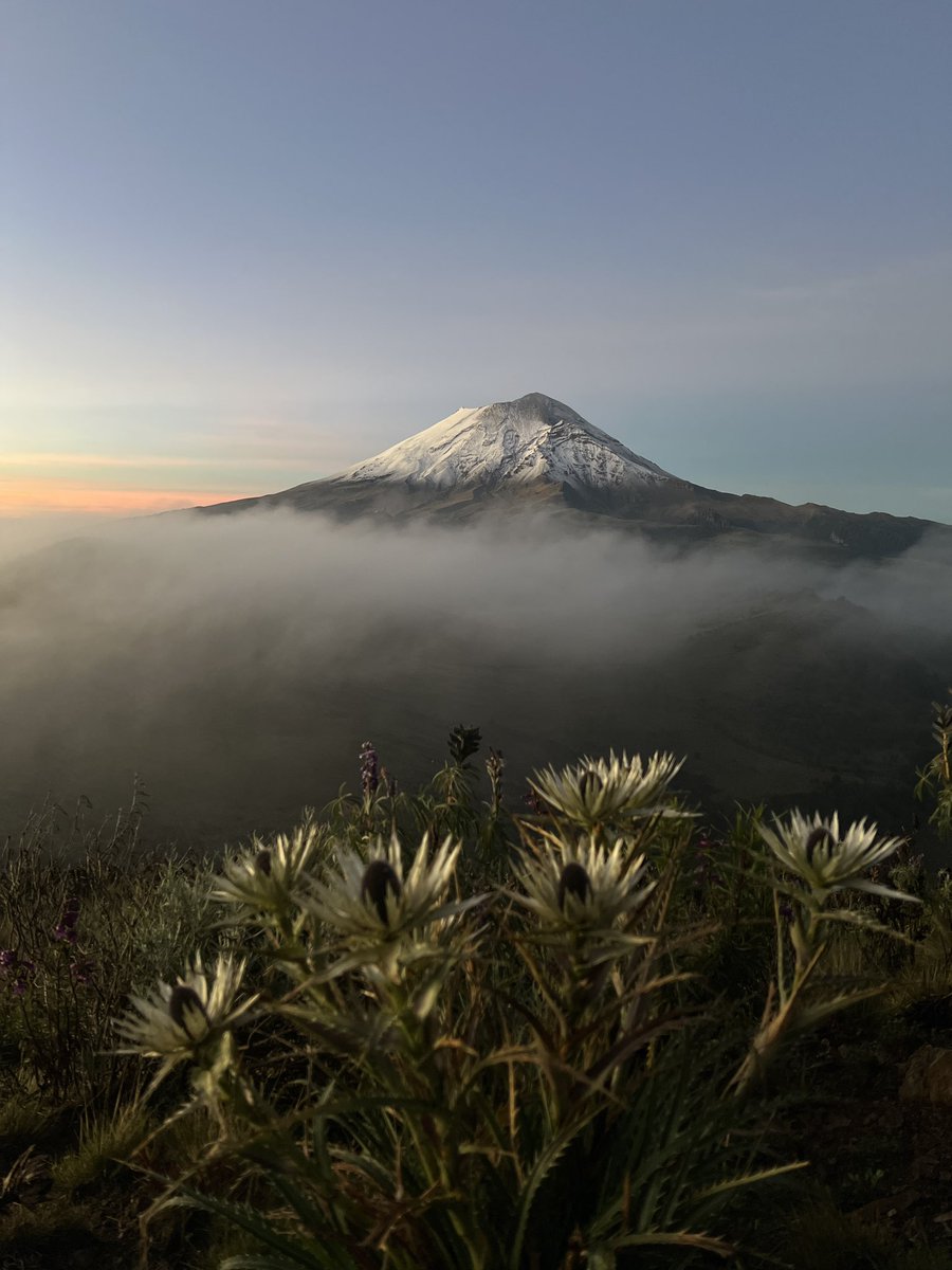 enriquenoriega's tweet photo. Así amaneció el día de hoy el Popocatépetl. https://t.co/n3UrhXrxAt