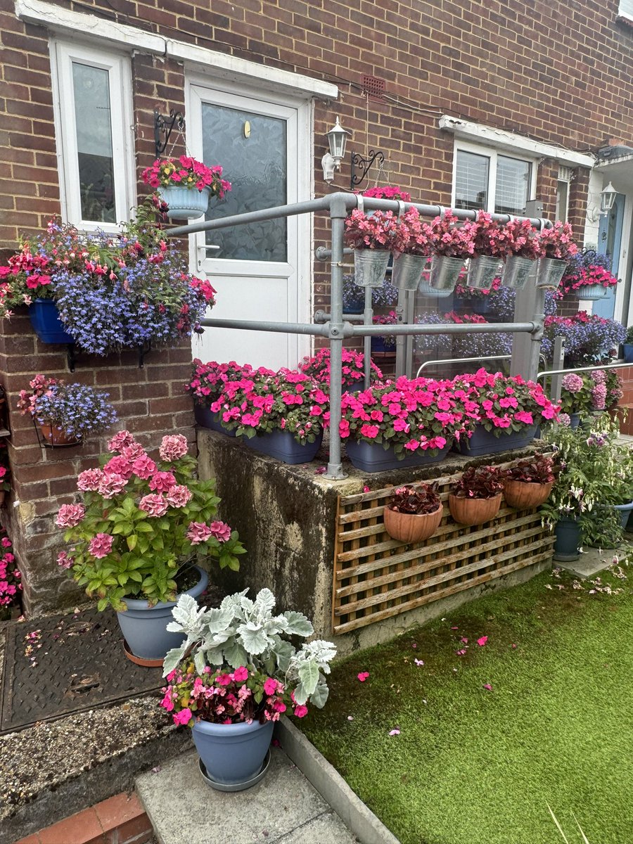 Cllr Alison Carpenter tweet media