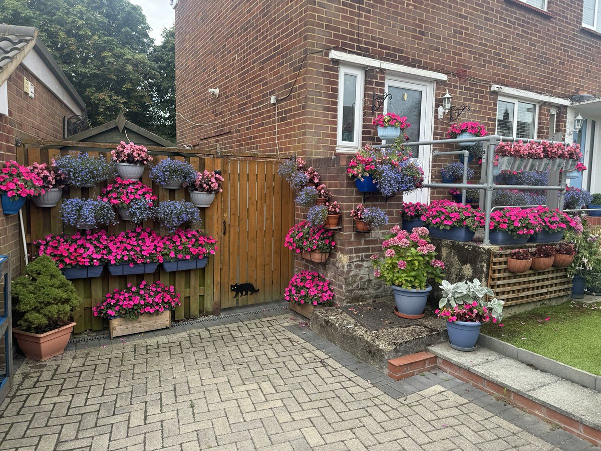 Cllr Alison Carpenter tweet media