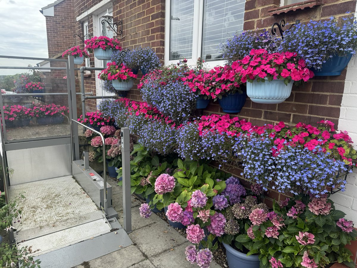 Cllr Alison Carpenter tweet media