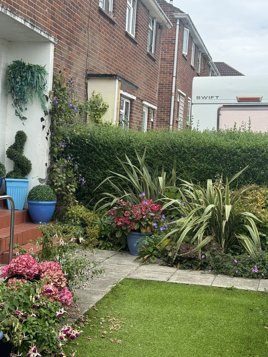 Cllr Alison Carpenter tweet media