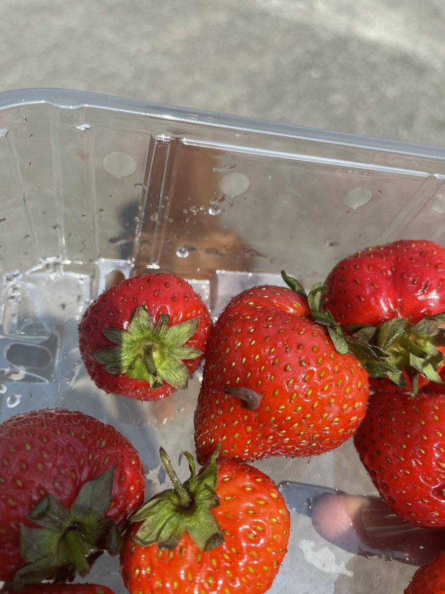 explicitlytun's tweet photo. @AsdaServiceTeam bought this from you and look !!! 🤢🤢🤢 https://t.co/eXZZ5AEu3K