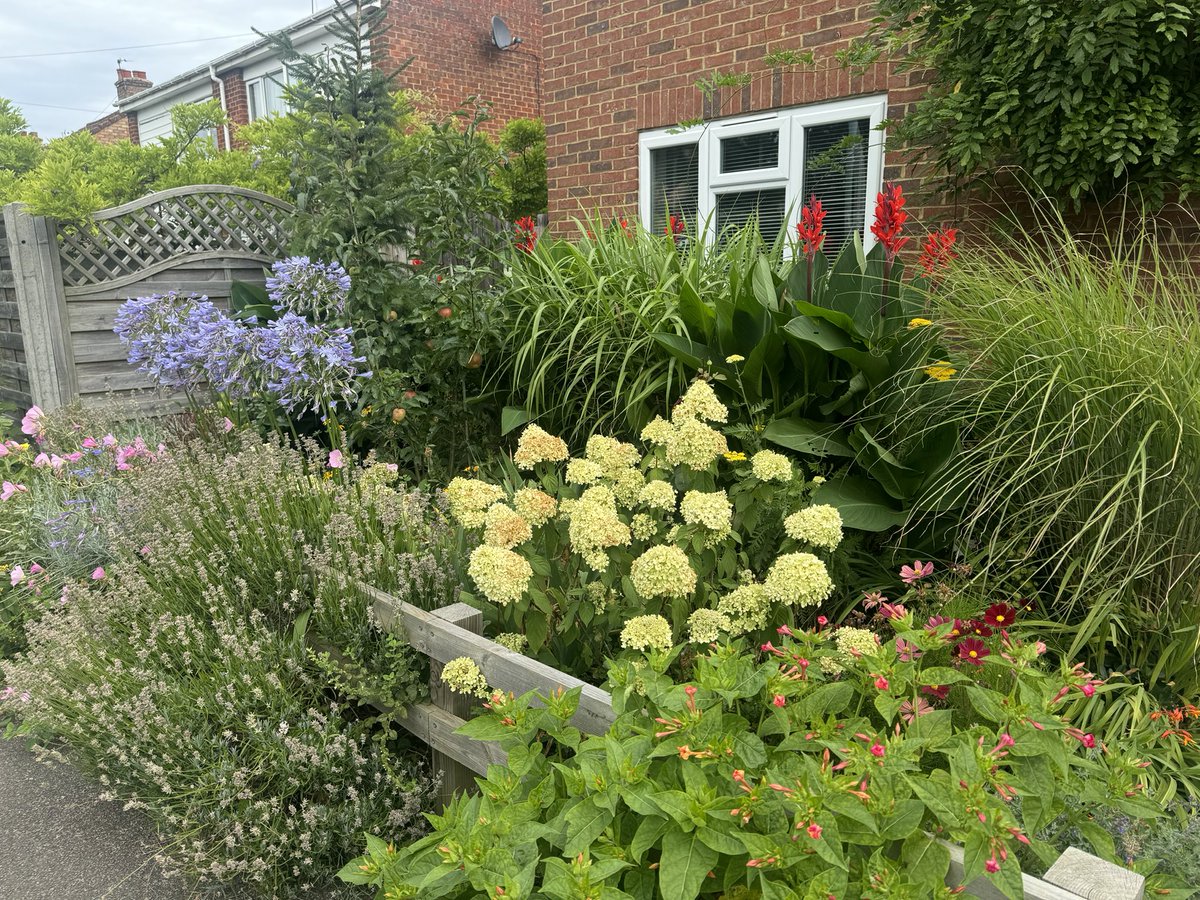 Cllr Alison Carpenter tweet media