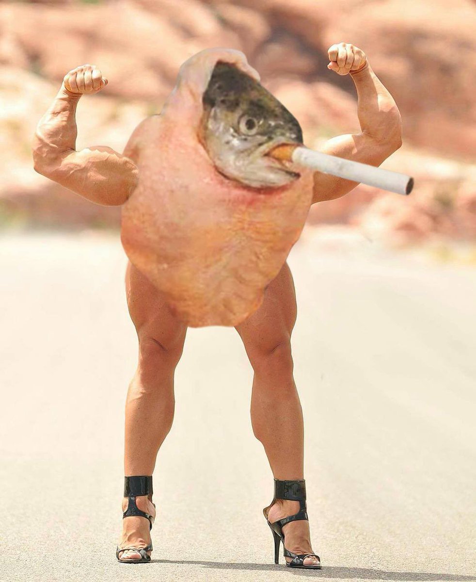 0GWeB3's tweet photo. @DexGemsReal He has legs 
 💪🏽🐟💪🏽
    🦵🏽🦵🏽 https://t.co/OccBD6joKi