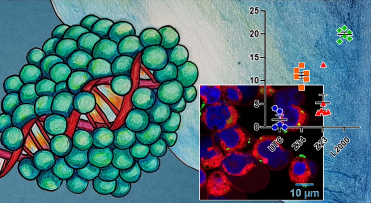 Reymond Group (@reymondgroup) on Twitter photo 🎉Our paper "Peptide Dendrimers Transfecting CRISPR/Cas9 Plasmid DNA: Optimization and Mechanism" by Susanna Zamolo, Elena Zakharova, Lise Boursinhac, Florian Hollfelder, Tamis Darbre,
<a href="/jrjrjlr/">Jean-Louis Reymond</a> is now published on <a href="/rsc_chembio/">RSC Chemical Biology</a>!
👉Read it here: pubs.rsc.org/en/content/art…
<a href="/DCBPunibern/">DCBPunibern</a> 🎉Our paper "Peptide Dendrimers Transfecting CRISPR/Cas9 Plasmid DNA: Optimization and Mechanism" by Susanna Zamolo, Elena Zakharova, Lise Boursinhac, Florian Hollfelder, Tamis Darbre,
<a href="/jrjrjlr/">Jean-Louis Reymond</a> is now published on <a href="/rsc_chembio/">RSC Chemical Biology</a>!
👉Read it here: pubs.rsc.org/en/content/art…
<a href="/DCBPunibern/">DCBPunibern</a>
