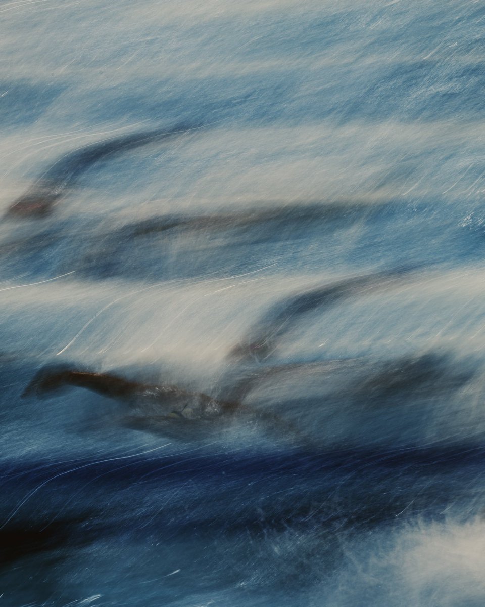 Florence tweet media