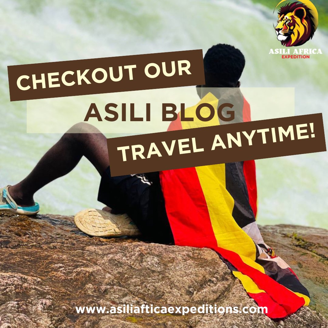 Asili_Africa's tweet photo. Stay inspired with the Asili Africa Expeditions blog!
Explore travel stories, tips, and updates anytime: https://t.co/m2JJLWX8Eo
#SafariBlog
#TravelAfrica #AdventureAwaits https://t.co/ft2TaJZsZI