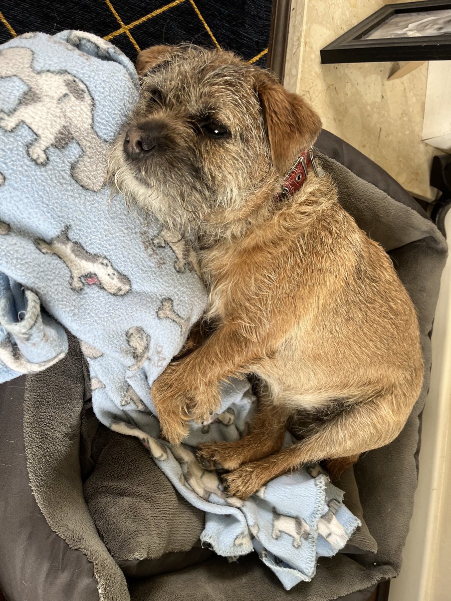 Ian Briggs tweet media