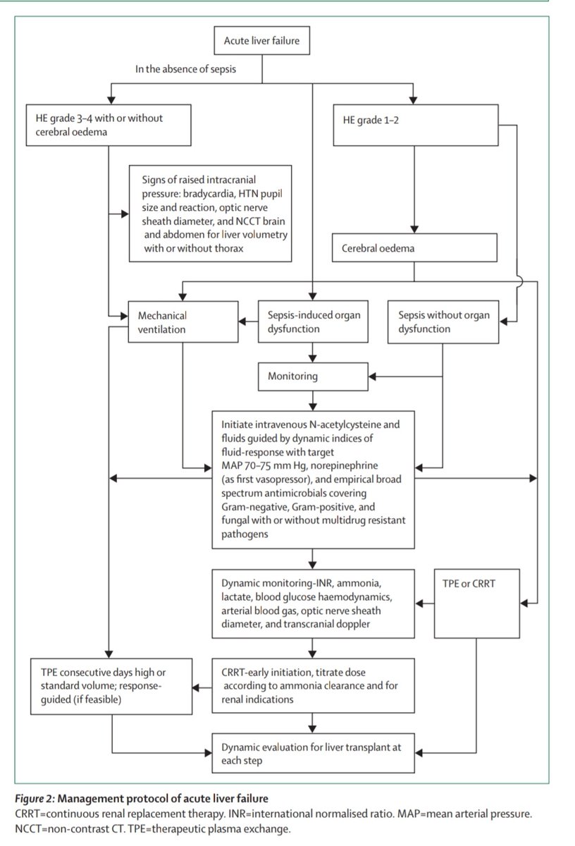 Leo_Santo5's tweet photo. 💎 Falla Hepática Aguda 🧐

📜Definición
📊Epidemiología
⚠️Prevención
🧬Fisiopatología
❎Escalas Pronósticas
🩺Abordaje y Manejo
🤖Terapias de Soporte
🔪Transplante

🔰📚The Lancet 2024

https://t.co/XgVJIULwR6

Enlace a Artículo Completo 👇🏽✅🆓https://t.co/xumUMHaxVK https://t.co/OSz6q1lC04