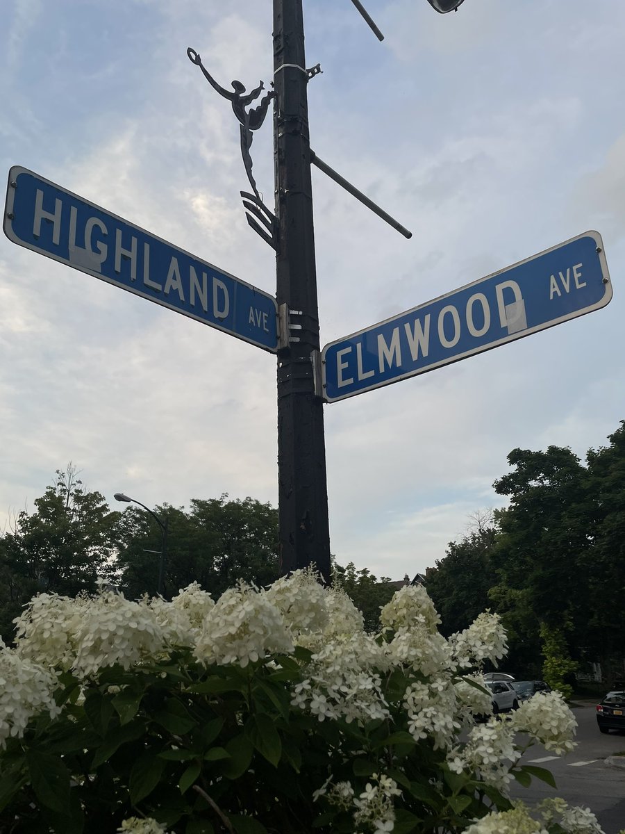 You can find our Elmwood location at the corner of Highland and Elmwood Ave! Proud to be in the heart of the #ElmwoodVillage 💙