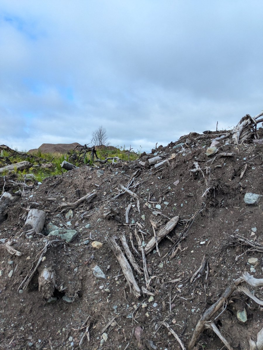 Jonathan N4AKV tweet media