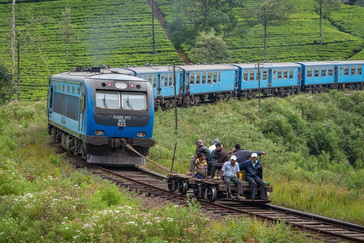el_tren_de's tweet photo. 美しい茶畑が広がるスリランカ・ナーヌオヤですが、ごく稀にバチクソ意味不明な列車が通ります https://t.co/sHsMt4CpwA