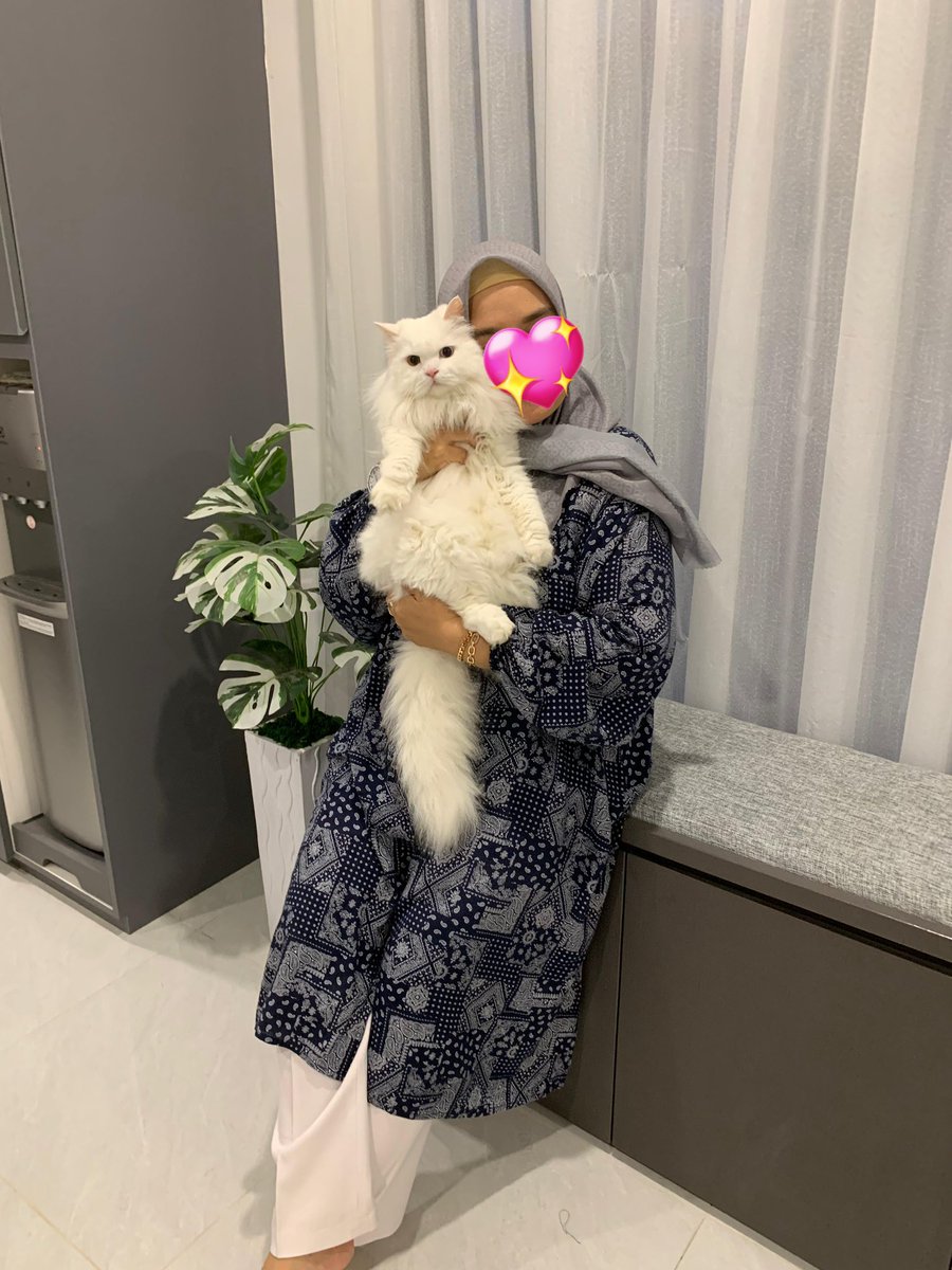 Dudut🐱 tweet media