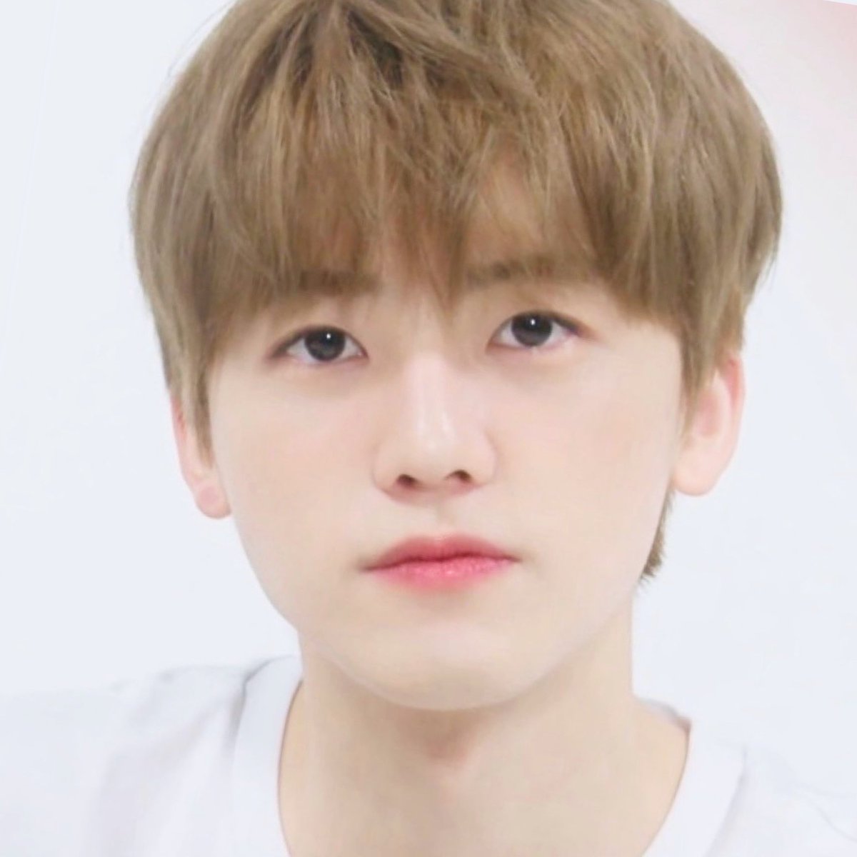 /ᐠ. ｡.ᐟ\ᵐᵉᵒʷˎˊ˗