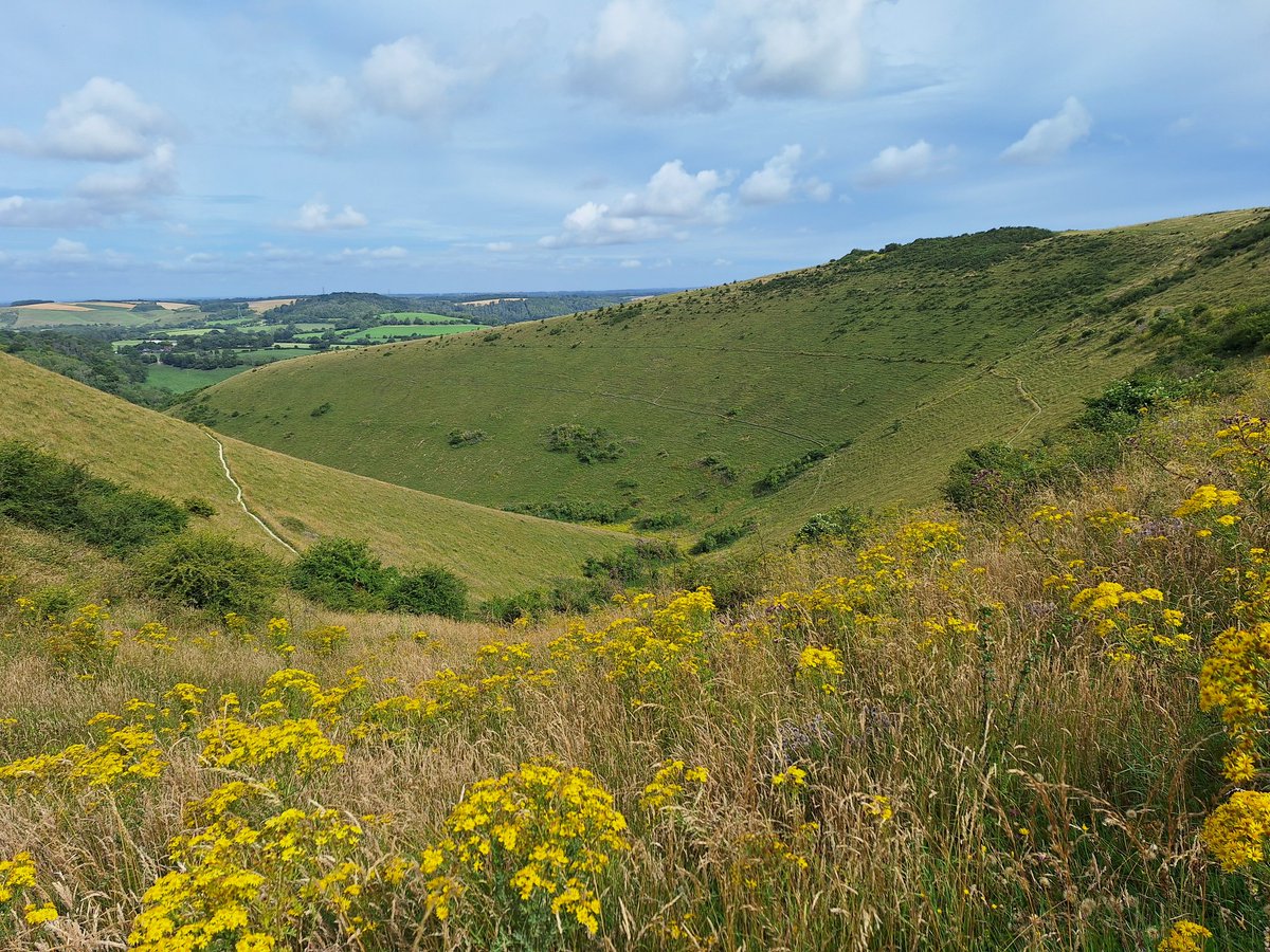RobJames68's tweet photo. Tetley and I had a lovely long walk at Butser Hill this morning, stopping off halfway through to refuel with tea and toast (for me) and a puppychino (for him). He's decided it's time to rest now #HappyDog #SleepyDog #WeekendWalking https://t.co/etIiWlKYzo