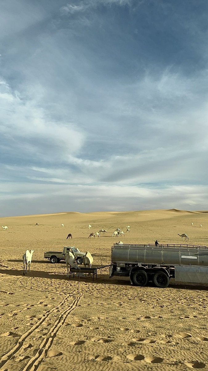 شيءٍ من حدّة مزاجي وشيء من الظروف 
متشبعٍ من ضجيج العرب و أصواتها