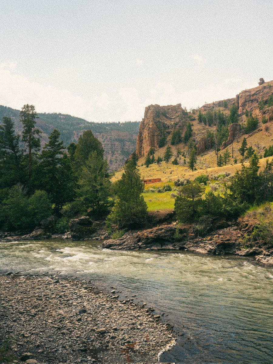 AdrienGQT's tweet photo. @frenchvisuals Summer vibes in Wyoming https://t.co/MP0cZN8hy9