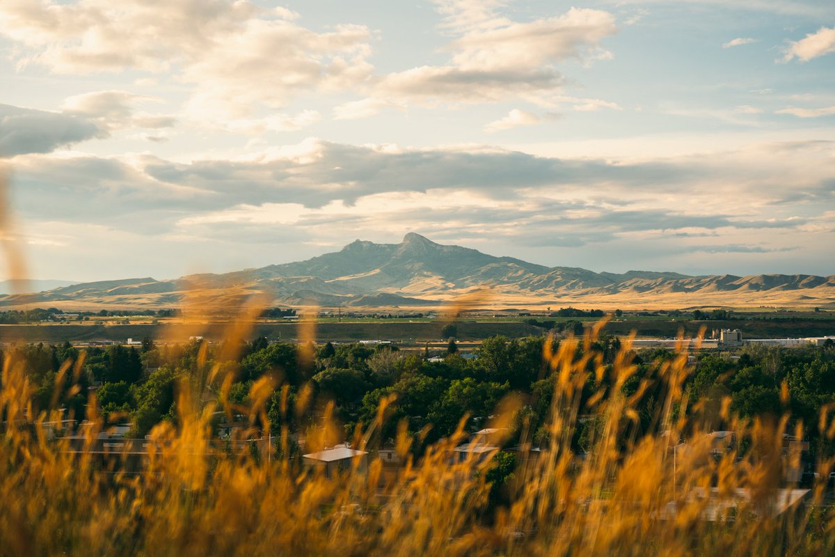 AdrienGQT's tweet photo. @frenchvisuals Summer vibes in Wyoming https://t.co/MP0cZN8hy9