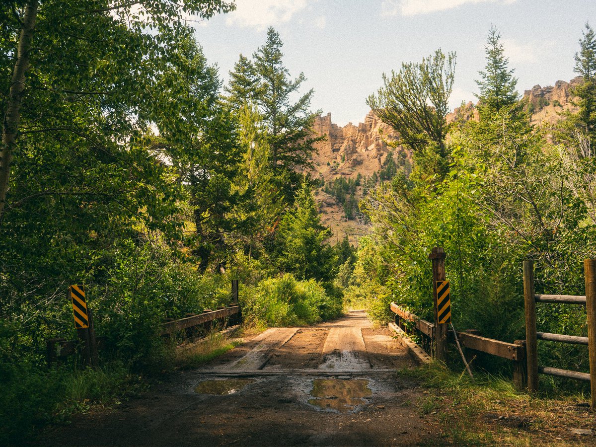 AdrienGQT's tweet photo. @frenchvisuals Summer vibes in Wyoming https://t.co/MP0cZN8hy9