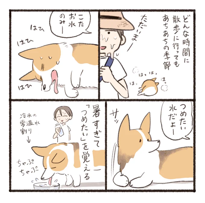 2度目の夏です 