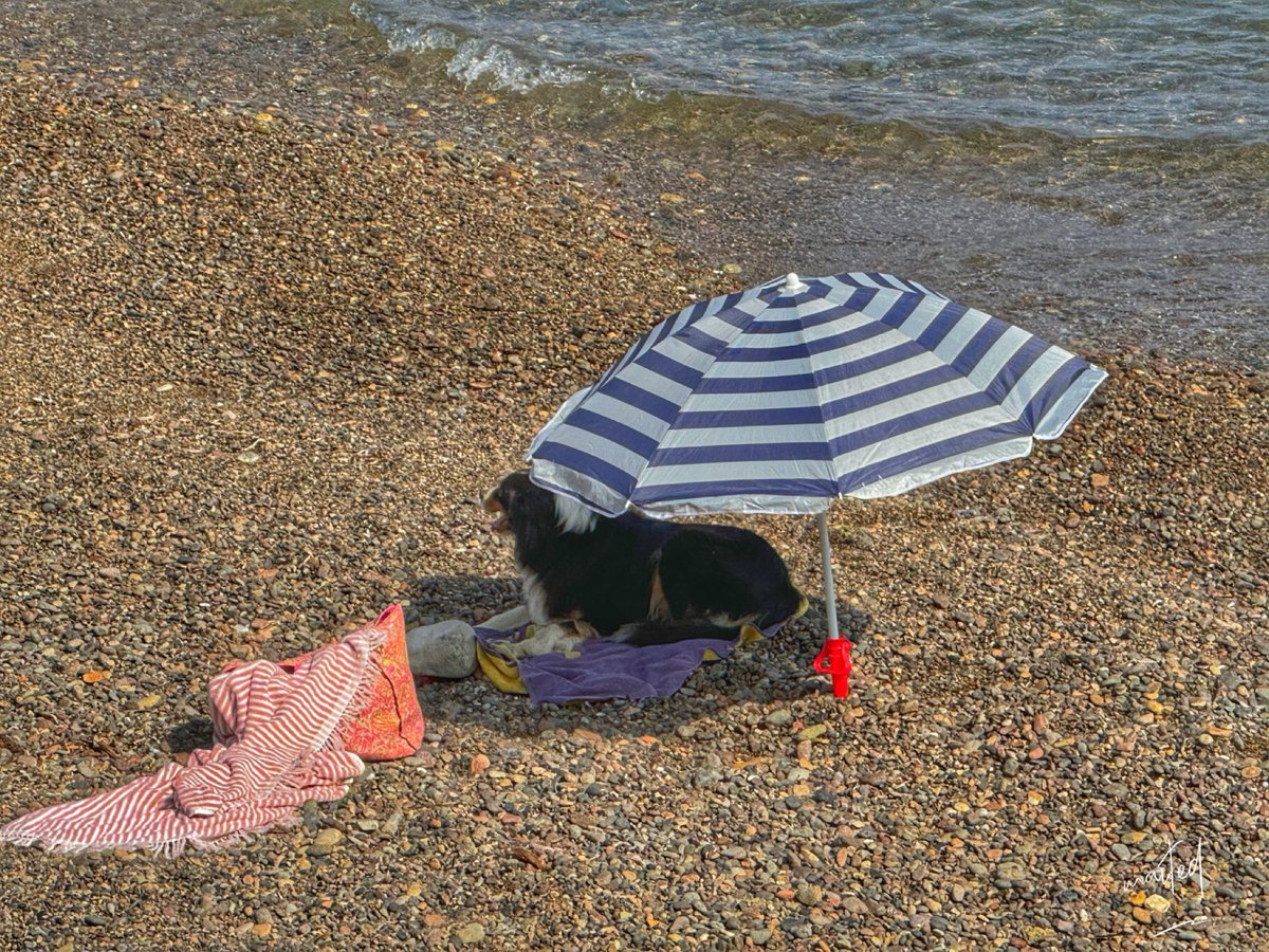 maite2b32's tweet photo. Bon dimanche à tous, ici sur la plage de Galéria /Corse 4/08/2024 ! https://t.co/BY645gPUAV
