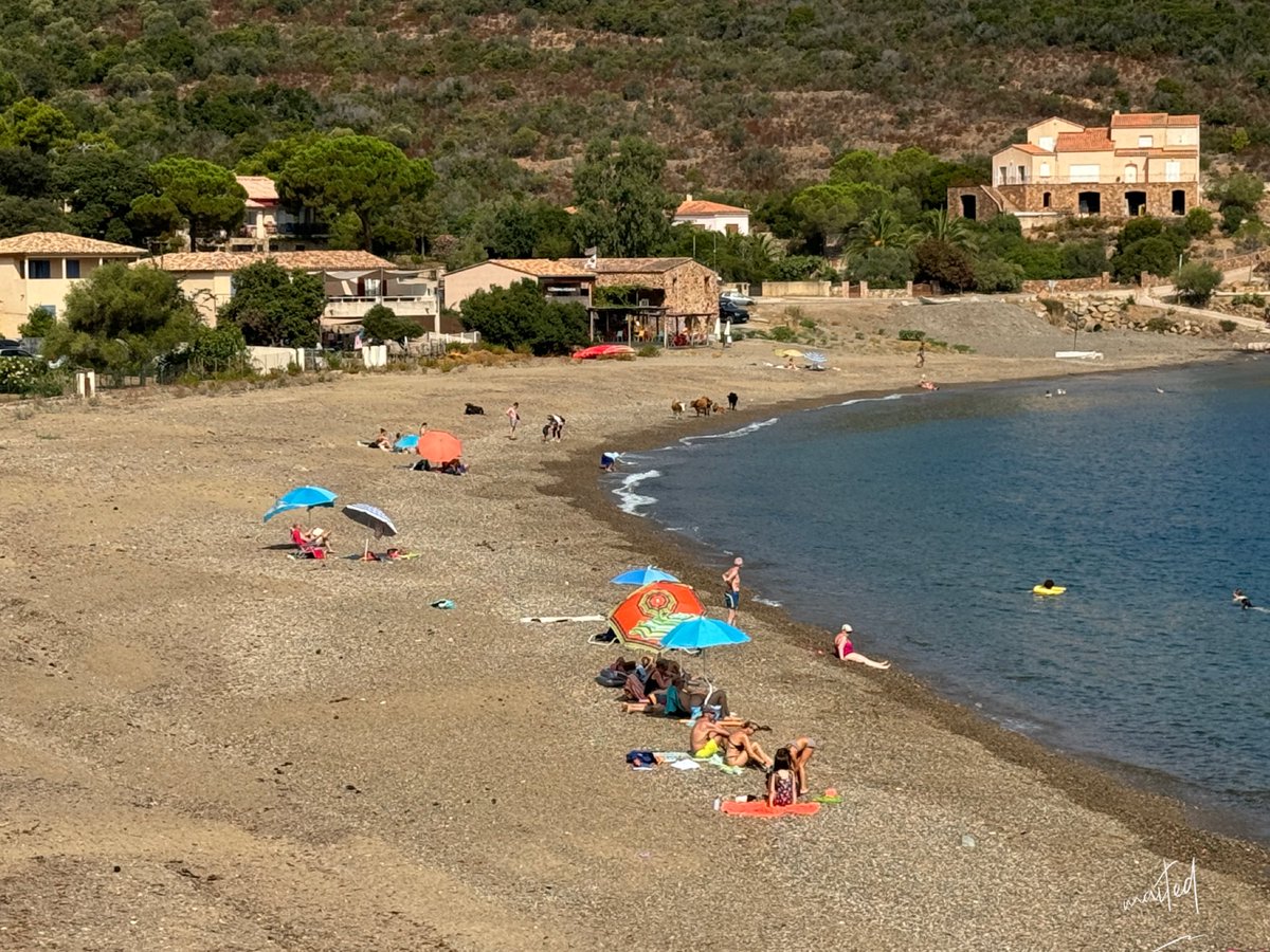 maite2b32's tweet photo. Bon dimanche à tous, ici sur la plage de Galéria /Corse 4/08/2024 ! https://t.co/BY645gPUAV