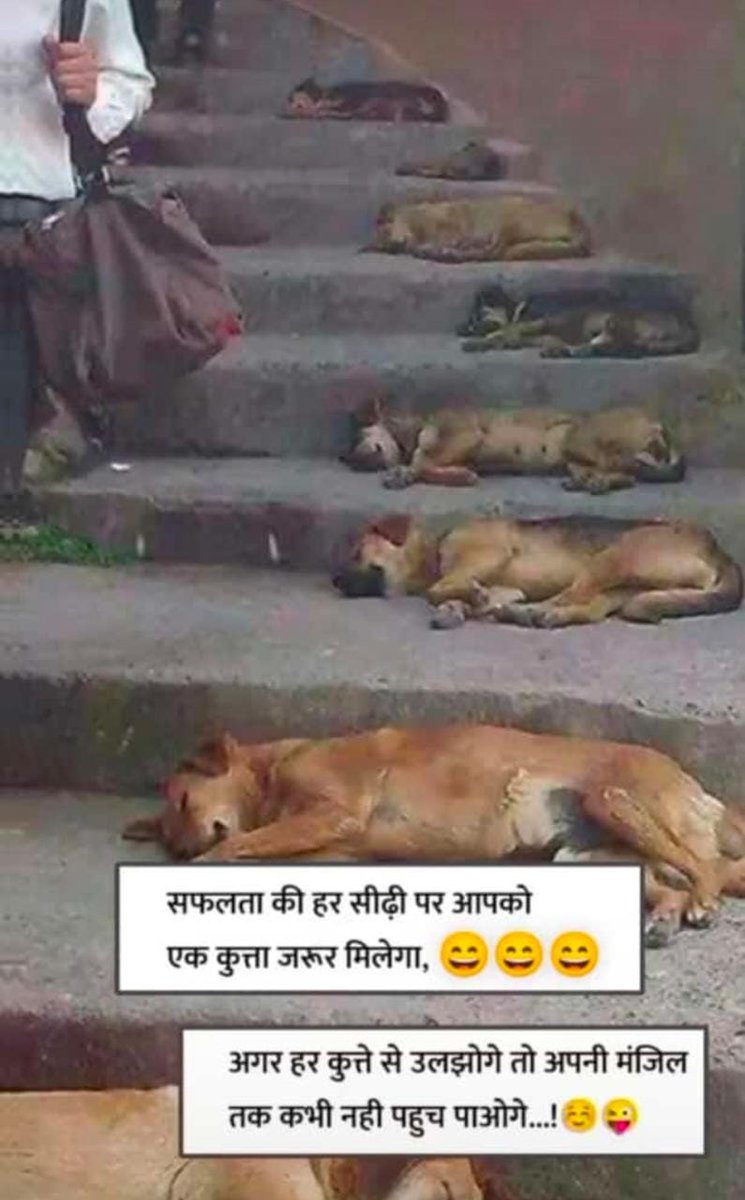 mpanktiya's tweet photo. बात तो सही है.. https://t.co/kKjk24osYH