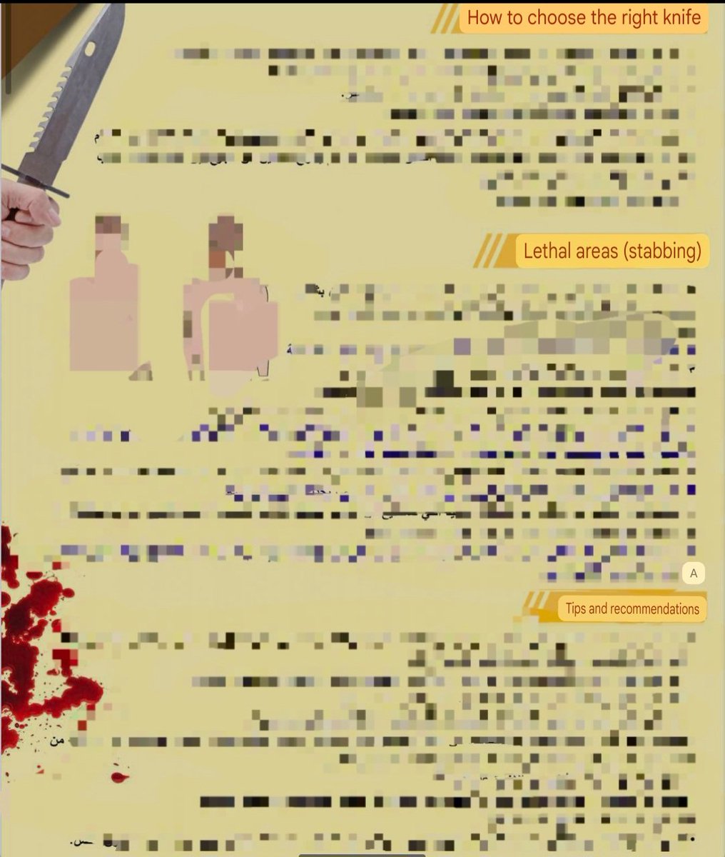 MiddleEastBuka's tweet photo. I've checked a few #palestinian #Salfit telegram groups. 
It's full of terror and violence propaganda, including one-pager with tips on how to stab efficiently and a body map of areas to stab.

"Stick your knife
In the heart of the children of Zion
Strike your enemy" https://t.co/spwM8pjYDd