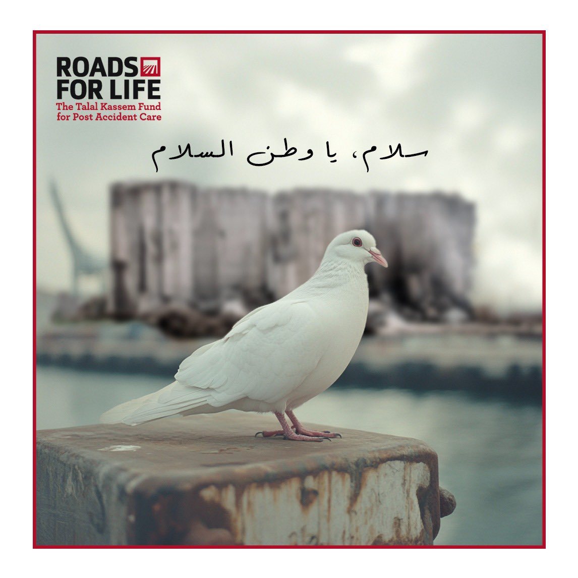 RoadsForLife tweet media