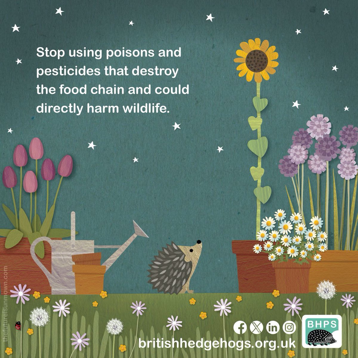 Help #hedgehogs out with just one click!
🦔

Share this post to help spread the word about going organic in the garden!
🦋 🦔🐝

#SundayShare #ShareToMakeAware #wildlife #hedgehog