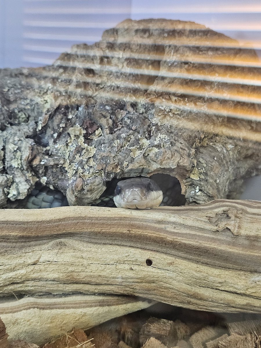 턱 괴고 있는거봐 너무 귀여워.
...
......
....