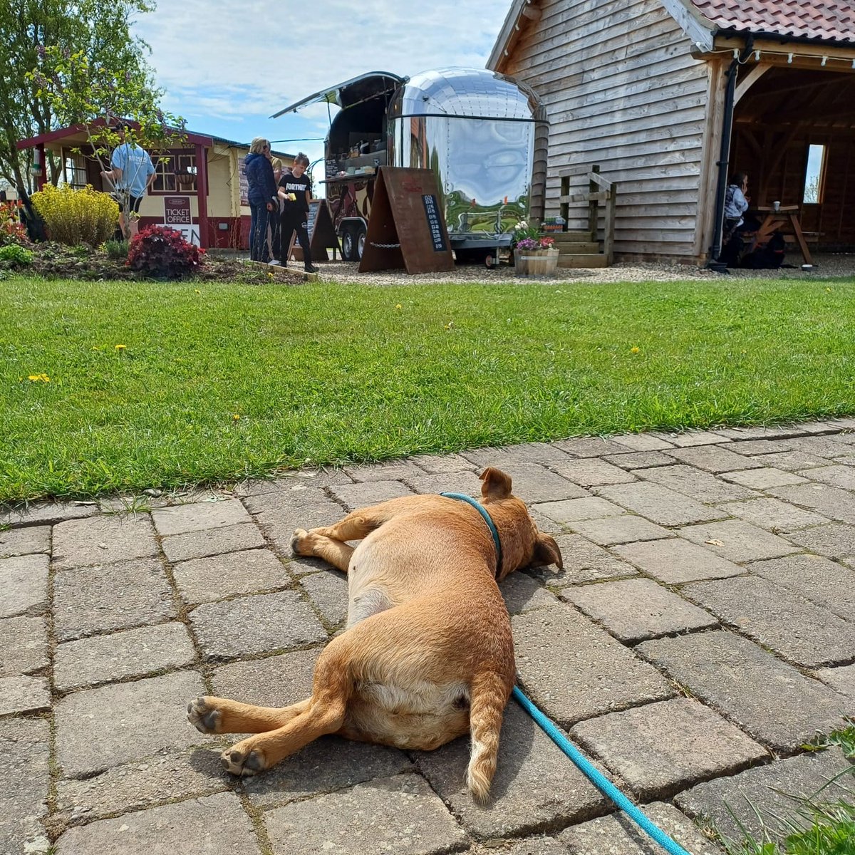 cedarbarn's tweet photo. Today at Cedarbarn:
πSadly the PYO patch is closed today as we are between varieties
π The miniature railway is running from 10 am to 3 pm
π The trailer is open for homemade pizza, ciabatta and drinks Sunday 11 am to 3 pm
#thingstodoinpickering #cedarbarnrailway #pizza https://t.co/cwckrv6vtA