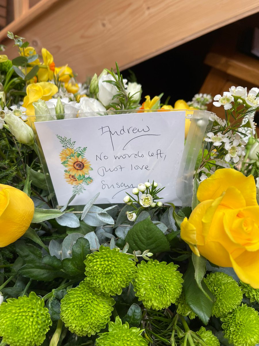 Plum Pudding Pigs tweet media