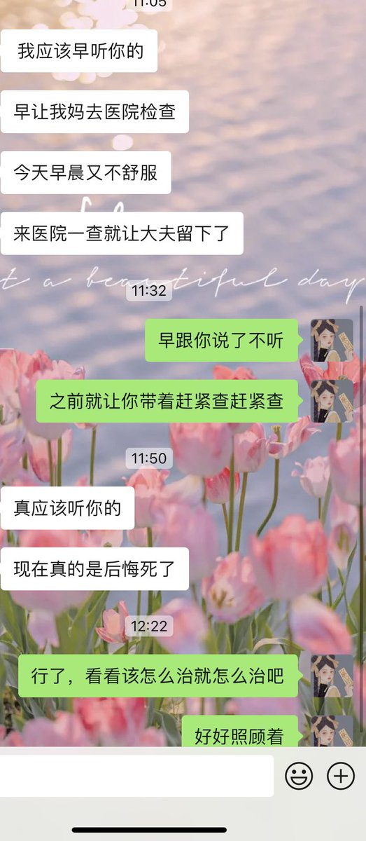 马里奥·dom tweet media