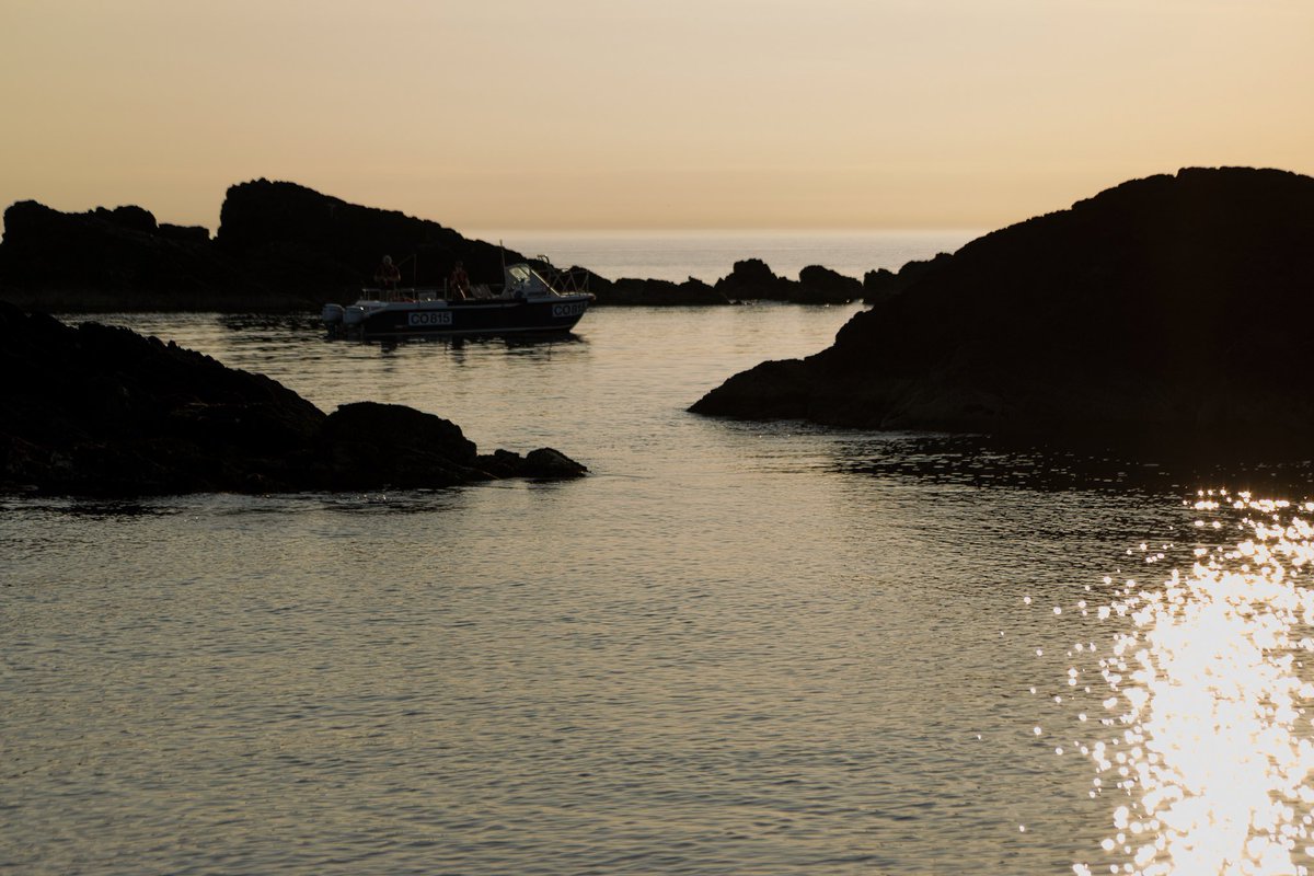 Stunning photos taken by one of our passengers on #Llanddwyn Island trip last week. Thank you for allowing us to share your amazing photos Louise #anglesey #menaistrait #caernarfon