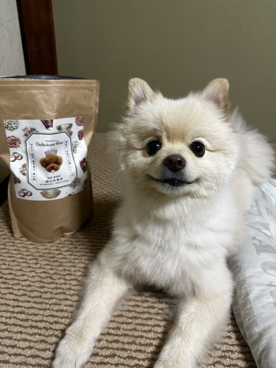 chacha(チャチャ) (@chacha_1024) / Posts / X