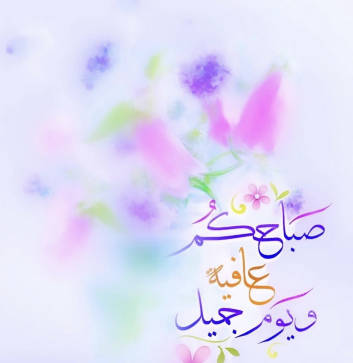 <a href="/nonno330/">om nasser</a>