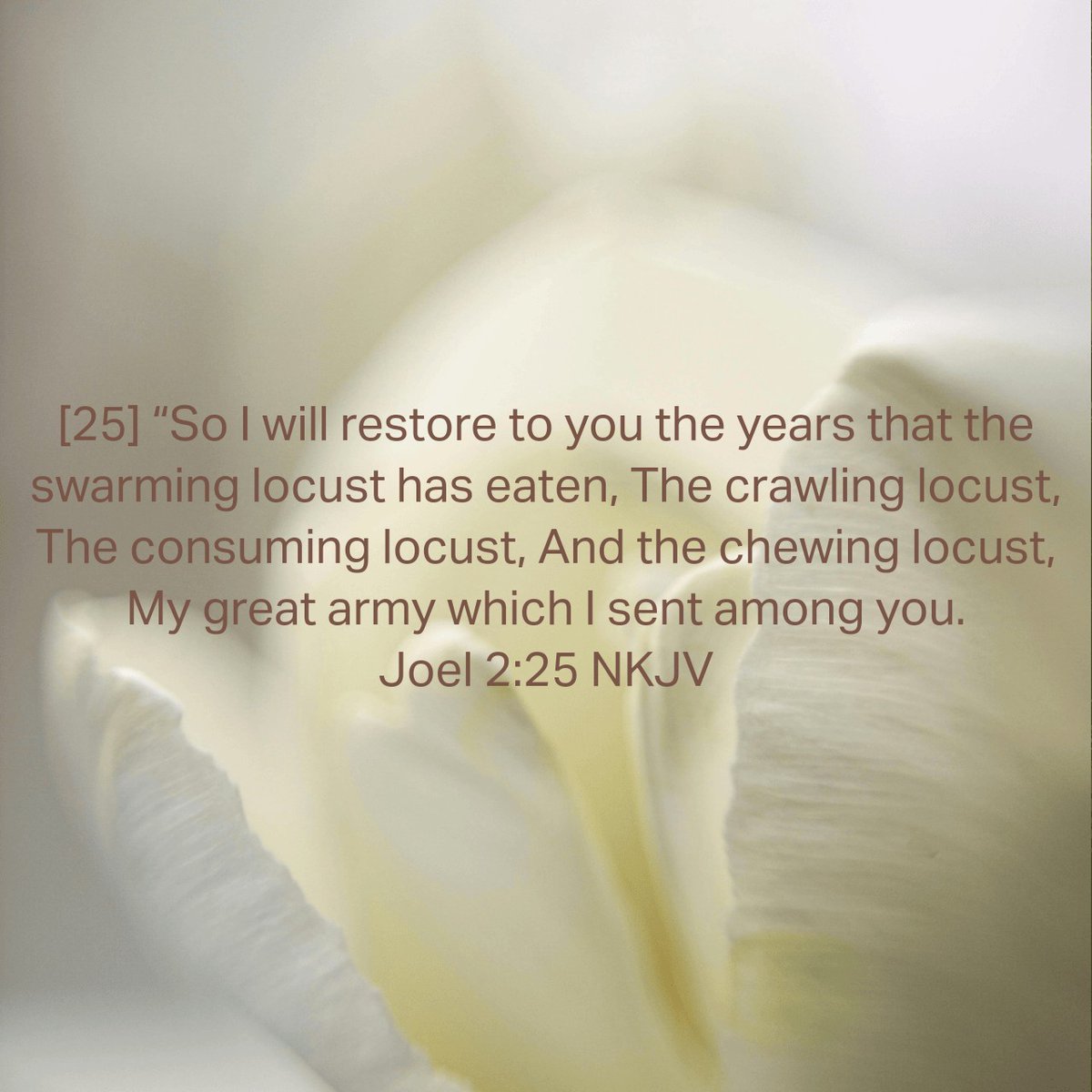 lightchild_7's tweet photo. He is the only who restores the time! https://t.co/EZV36vbc1U
