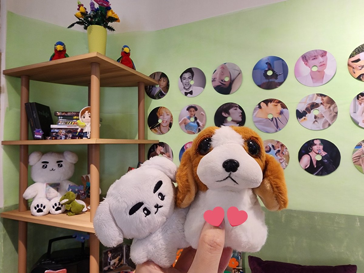 mookzacx's tweet photo. Our JunJun 🎂🐶🩷
คาเฟ่น่ารักมากค่า~~

#HAPPYXIAOJUNDAY
#JunJunsRoom https://t.co/d6b65xqZ1f